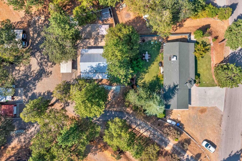 Acorn - Hidden Gem In Heaven, Getaway To Bass & Yosemite *