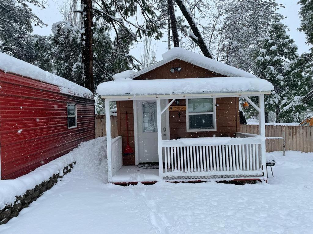 Acorn - Hidden Gem In Heaven, Getaway To Bass & Yosemite Hébergement de vacances *